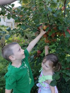 kids picking apples
